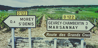 The Finest Burgundy Wineries